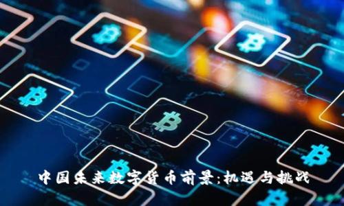 中国未来数字货币前景:机遇与挑战
