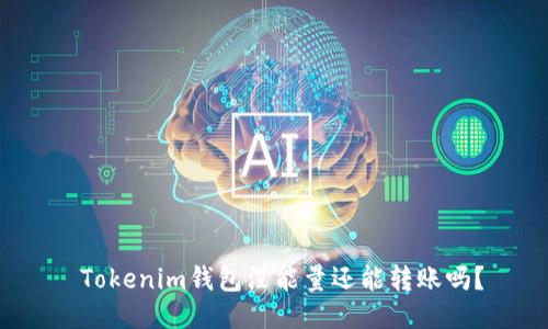 Tokenim钱包没能量还能转账吗?