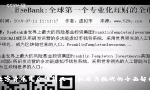 数字货币背后的新风口:机遇与挑战的全面解析