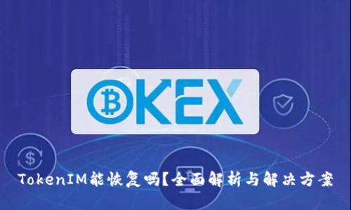 TokenIM能恢复吗?全面解析与解决方案