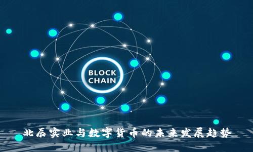 北辰实业与数字货币的未来发展趋势