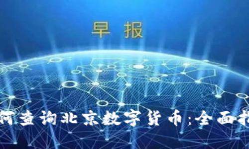 如何查询北京数字货币：全面指南