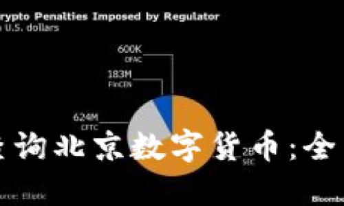 如何查询北京数字货币：全面指南
