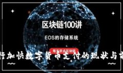 央行加快数字货币支付的