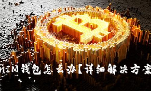 丢失TokenTokenIM钱包怎么办?详细解决方案与常见问题解析