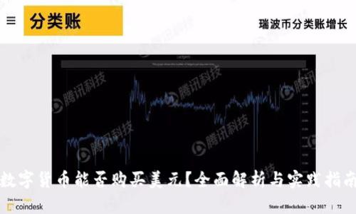 数字货币能否购买美元?全面解析与实践指南