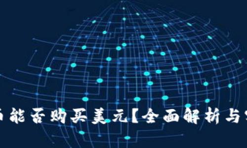 数字货币能否购买美元?全面解析与实践指南