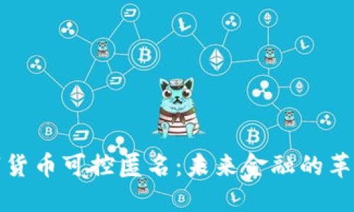 央行数字货币可控匿名:未来金融的革命与挑战