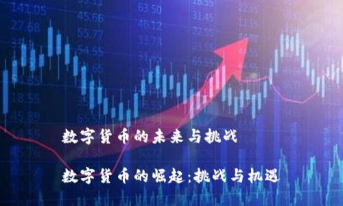 数字货币的未来与挑战
数字货币的崛起:挑战与机遇