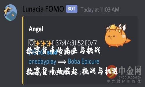 数字货币的未来与挑战
数字货币的崛起:挑战与机遇