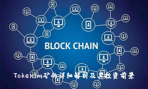 Tokenim矿的详细解析及其投资前景