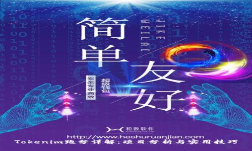 Tokenim跑分详解：项目分析与实用技巧