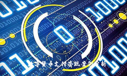 : 数字货币支付套现案例分析