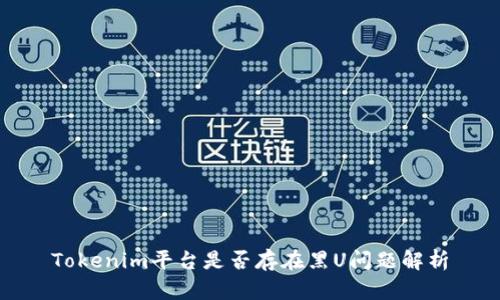 Tokenim平台是否存在黑U问题解析