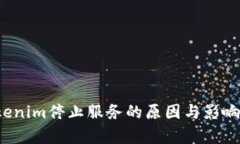  Tokenim停止服务的原因与影