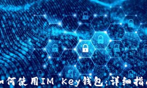 如何使用IM Key钱包:详细指南