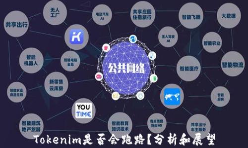 Tokenim是否会跑路?分析和展望