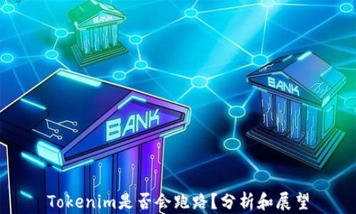 Tokenim是否会跑路?分析和展望