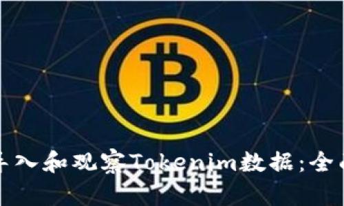 如何导入和观察Tokenim数据:全面指南