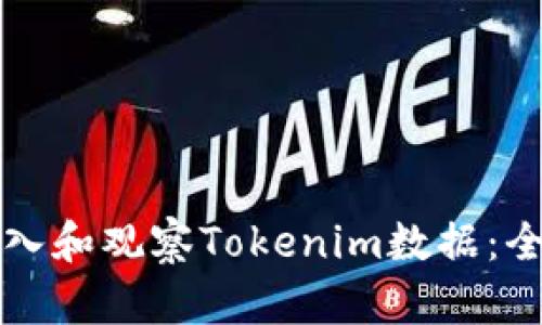 如何导入和观察Tokenim数据:全面指南