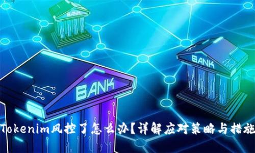Tokenim风控了怎么办？详解应对策略与措施