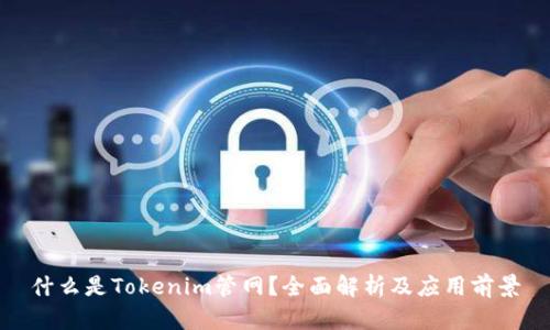 什么是Tokenim管网？全面解析及应用前景