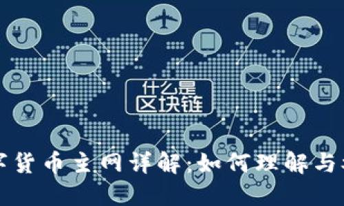 数字货币主网详解:如何理解与参与