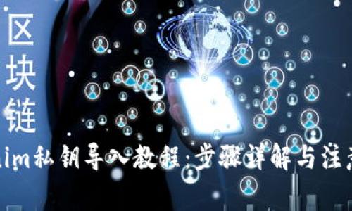 Tokenim私钥导入教程:步骤详解与注意事项