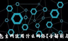  以太坊钱包主网使用什么