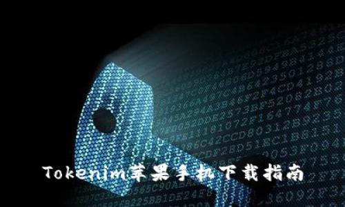 Tokenim苹果手机下载指南