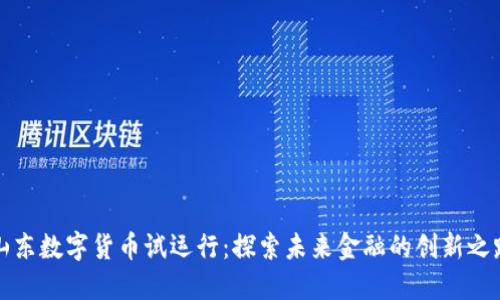 山东数字货币试运行:探索未来金融的创新之路