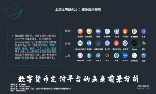 数字货币支付平台的未来前景分析