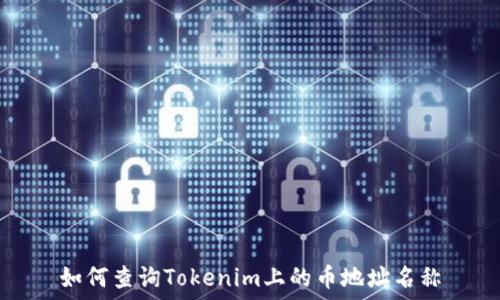 如何查询Tokenim上的币地址名称