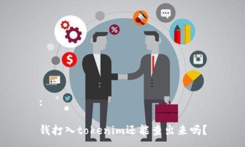 :
钱打入tokenim还能查出来吗?
