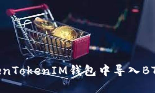 如何在TokenTokenIM钱包中导入BTS:详细指南