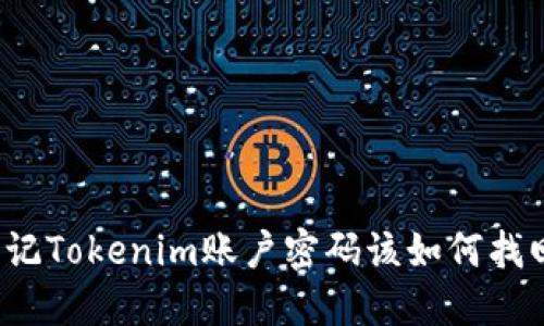 忘记Tokenim账户密码该如何找回?