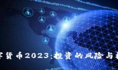 数字货币2023：投资的风险