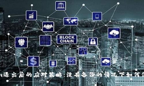 Tokenim退出后的应对策略:没有备份的情况下如何保护资产