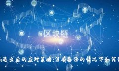 Tokenim退出后的应对策略：