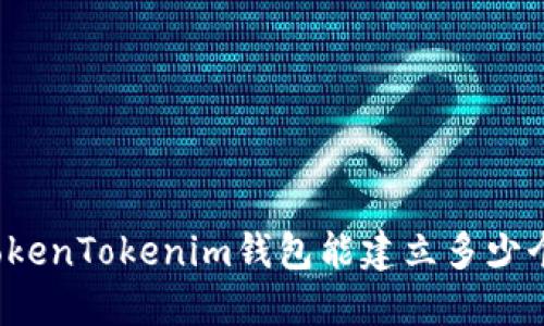 一个TokenTokenim钱包能建立多少个地址?