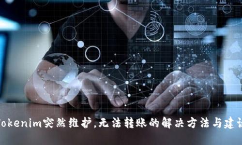 Tokenim突然维护,无法转账的解决方法与建议