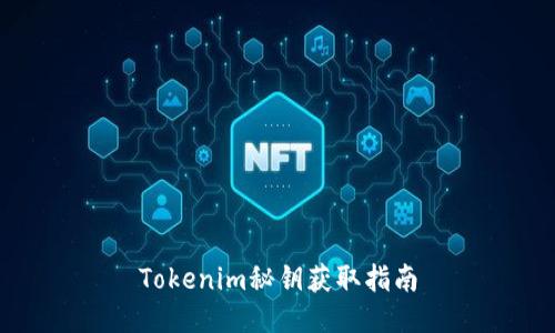 Tokenim秘钥获取指南