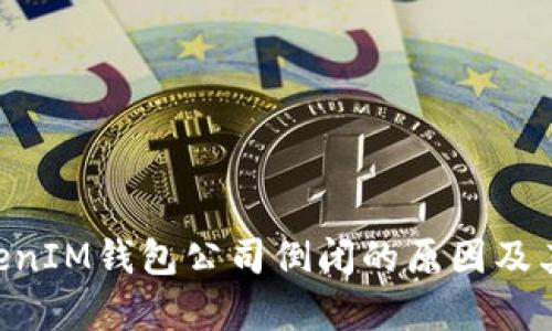 TokenTokenIM钱包公司倒闭的原因及其影响分析