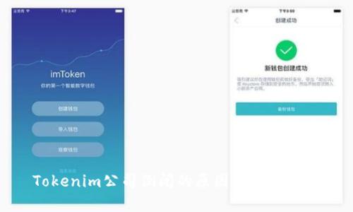 Tokenim公司倒闭的原因及影响分析