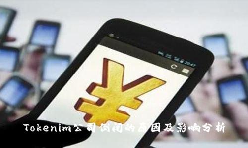 Tokenim公司倒闭的原因及影响分析