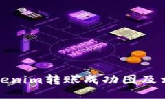 如何查看Tokenim转账成功图