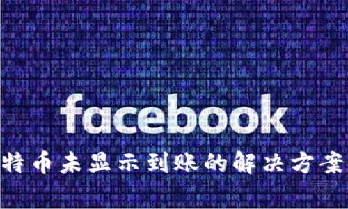 Tokenim比特币未显示到账的解决方案与注意事项