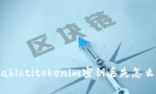 blyabiotitokenim密钥丢失怎么办?
