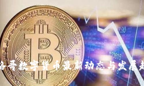 摩洛哥数字货币最新动态与发展趋势