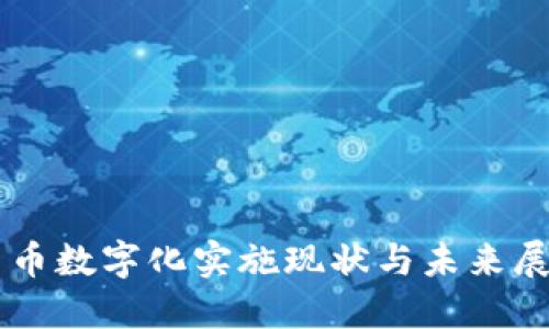 货币数字化实施现状与未来展望